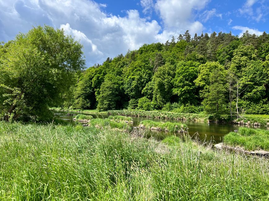 38 to Straubing