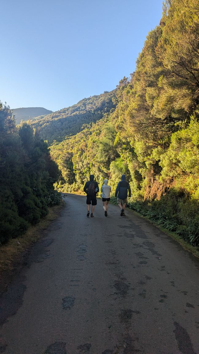 Tag 10: Levada das 25 Fontes und Risco & Feenwald