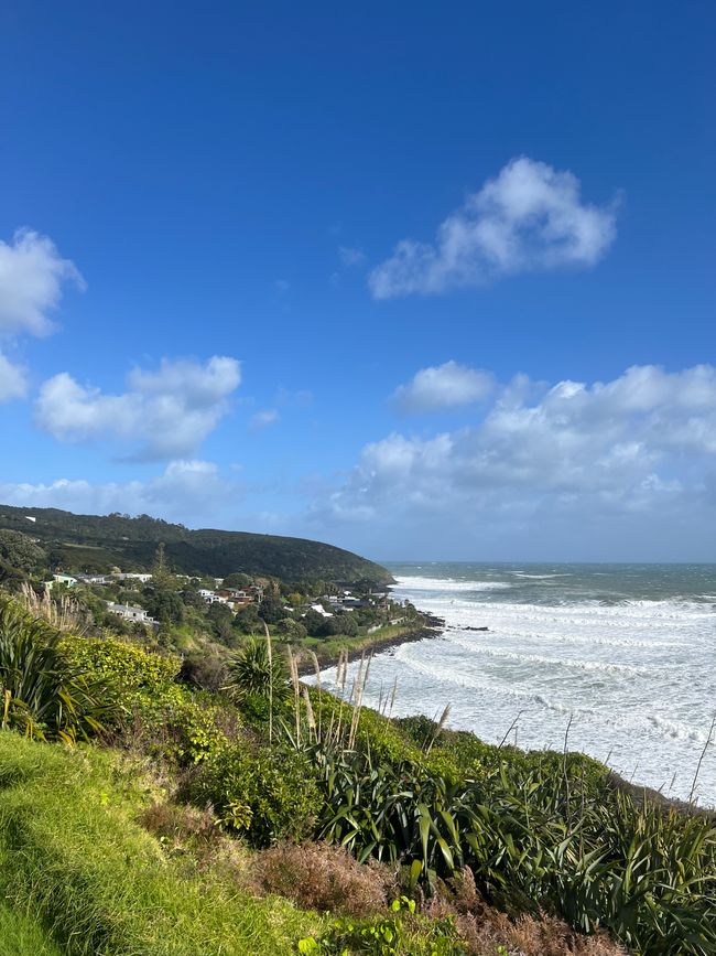 Reglan, West Coast