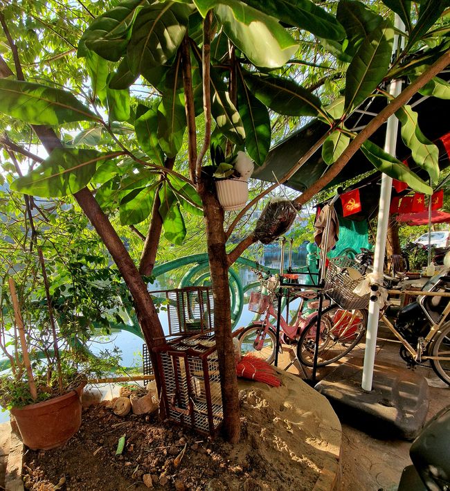 Wunderbarer Westlake