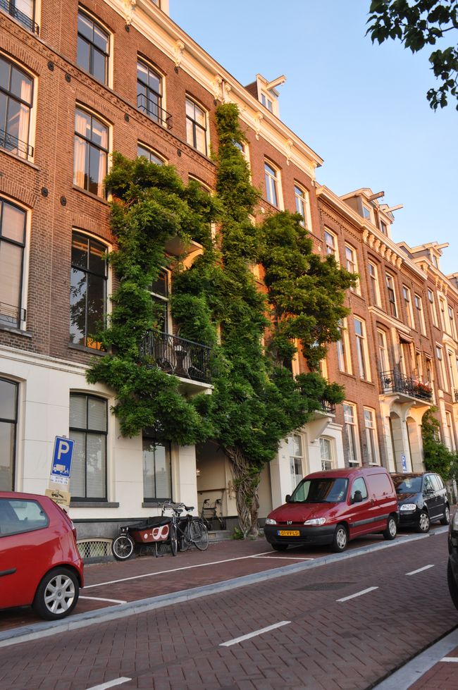 Prideday in Amsterdam im August 2015