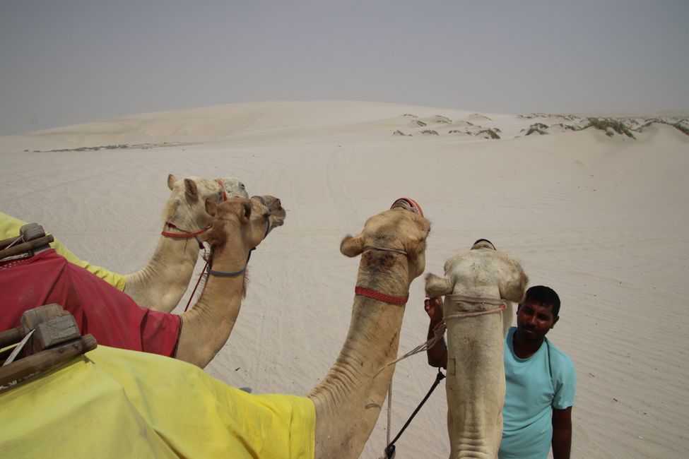 Etiqueta 23: En camino en Doha y el desierto