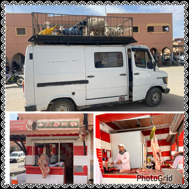 Livestock transport and butcheries in Morocco - not for everyone