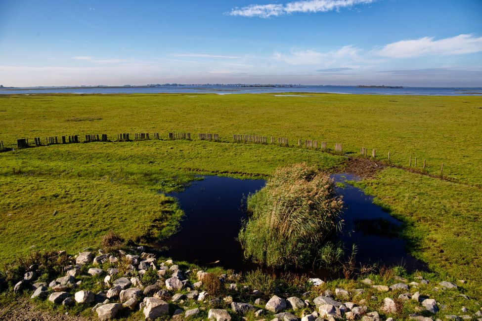 Rugged nature in open landscape