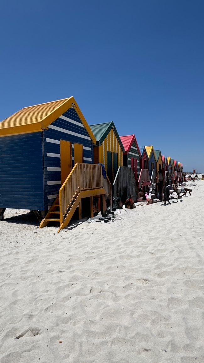 Tour del porto a Città del Capo, Spiaggia di Muizenberg, Spiaggia di Boulders, Capo di Buona Speranza