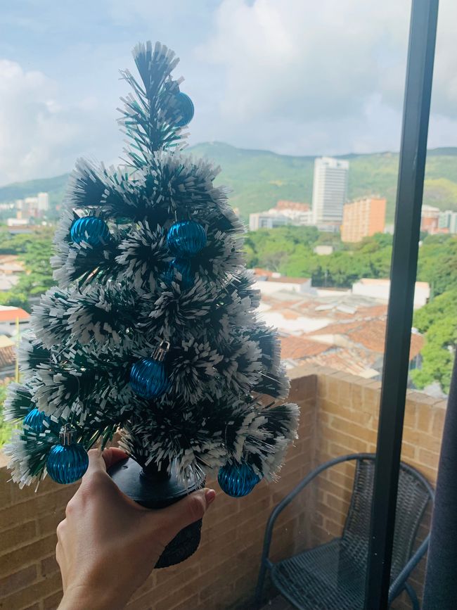 Cali 🎄