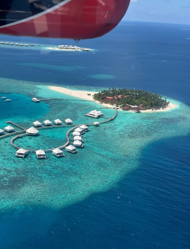 10 Días en Thundufushi - Un Viaje a Través de Aguas Azules, Jardines de Coral y Momentos de Quietud