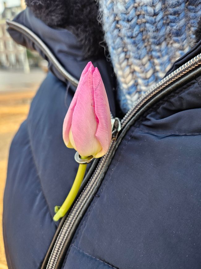 Keine Blüte verschwenden
