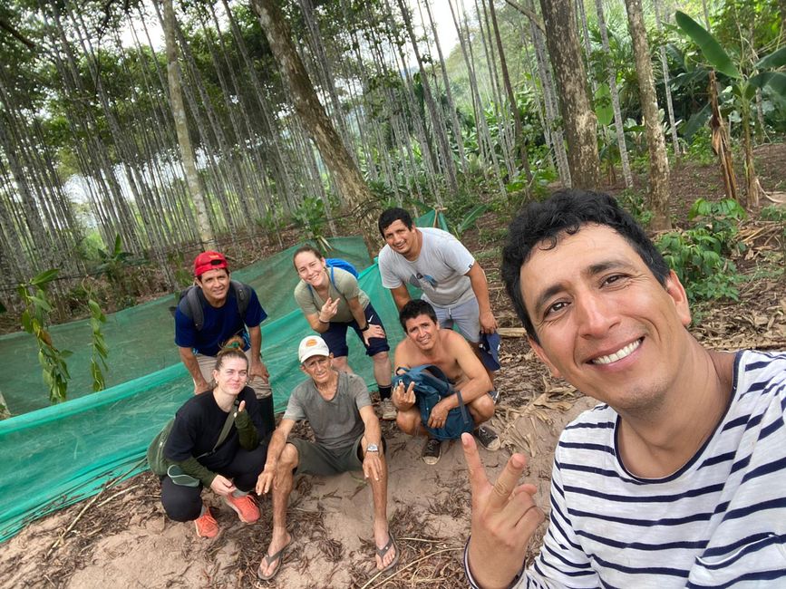 Leuchtende Käfer, grüne Orangen und andere Besonderheiten: Meine letzten Tage in der peruanischen Selva