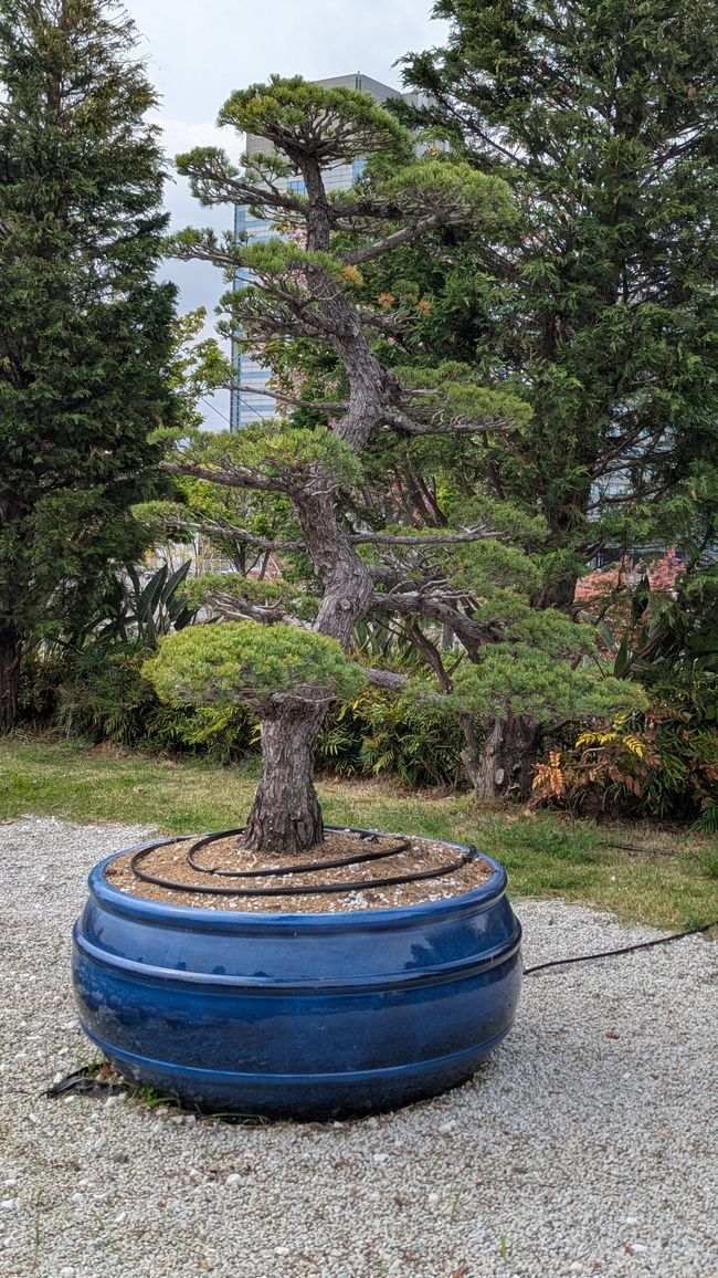 Prime impressioni di Tokyo