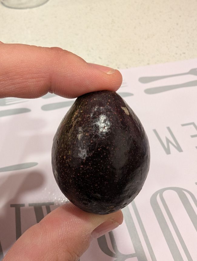 So klein und schon eine Avocado