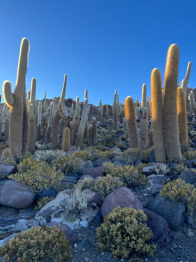 Salar de Uyuni