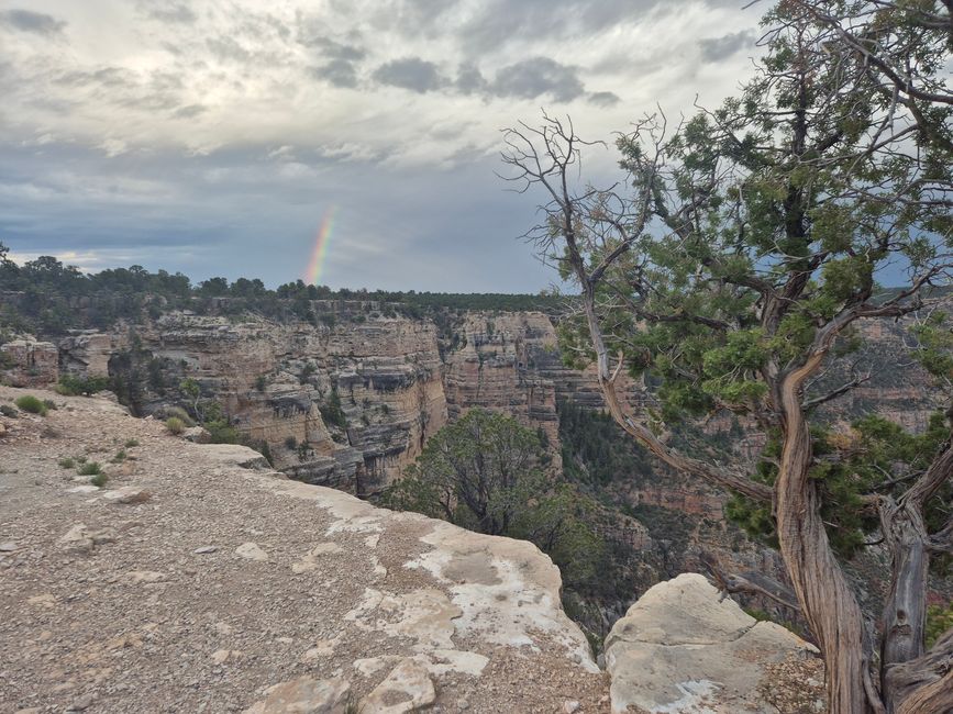 Grand Canyon