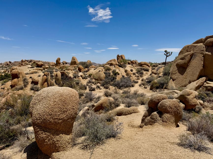 Joshua Tree National Park – Arch Rock & Skull Rock