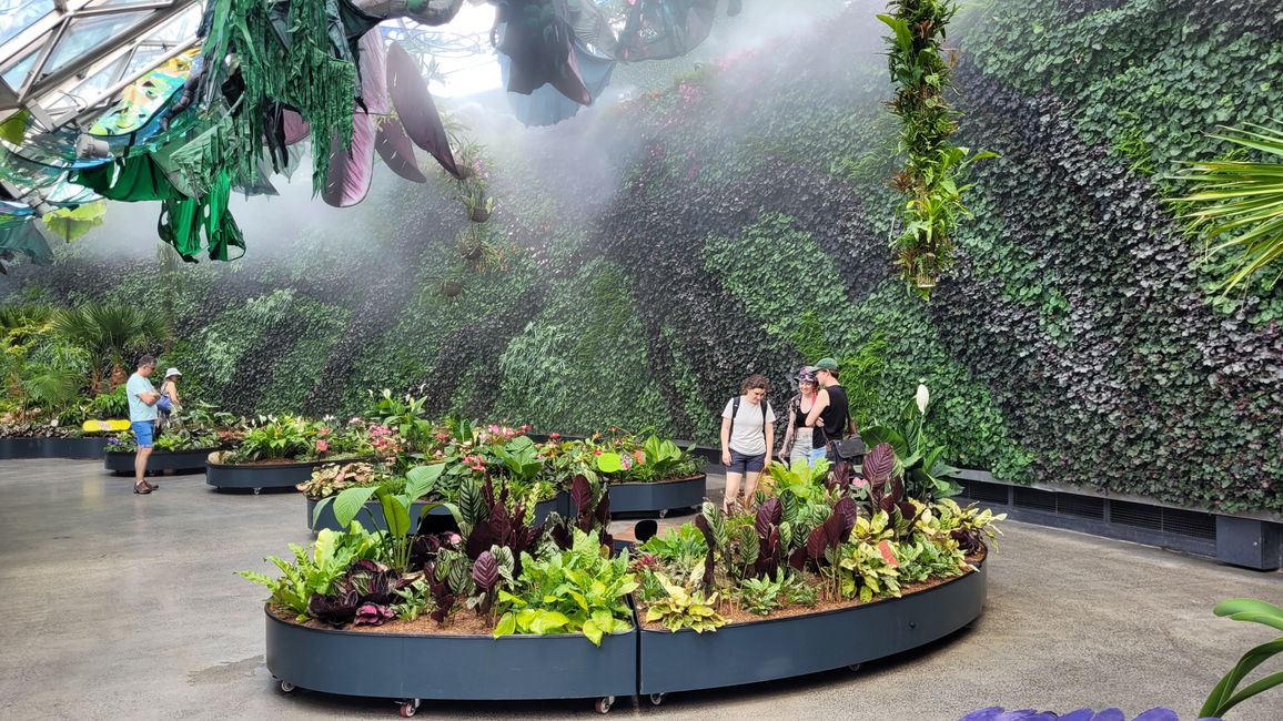 Heute königliches Programm – Royal Botanical Garden in Sydney