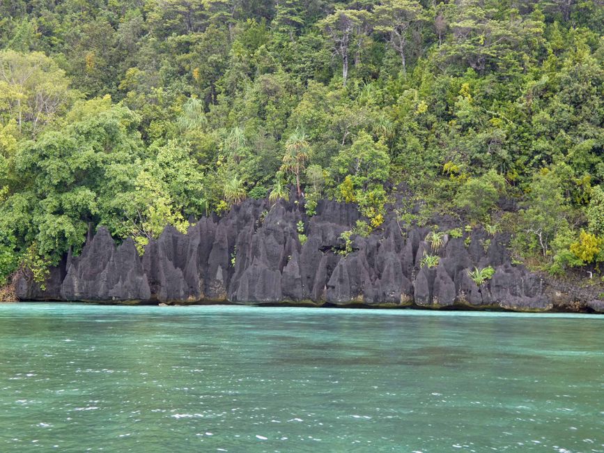 Misool, Nuova Guinea occidentale, Indonesia, escursione in Zodiac