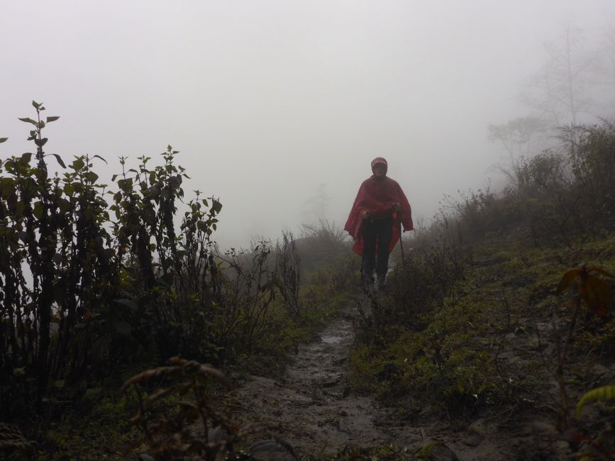 Im Nebel über Sapa