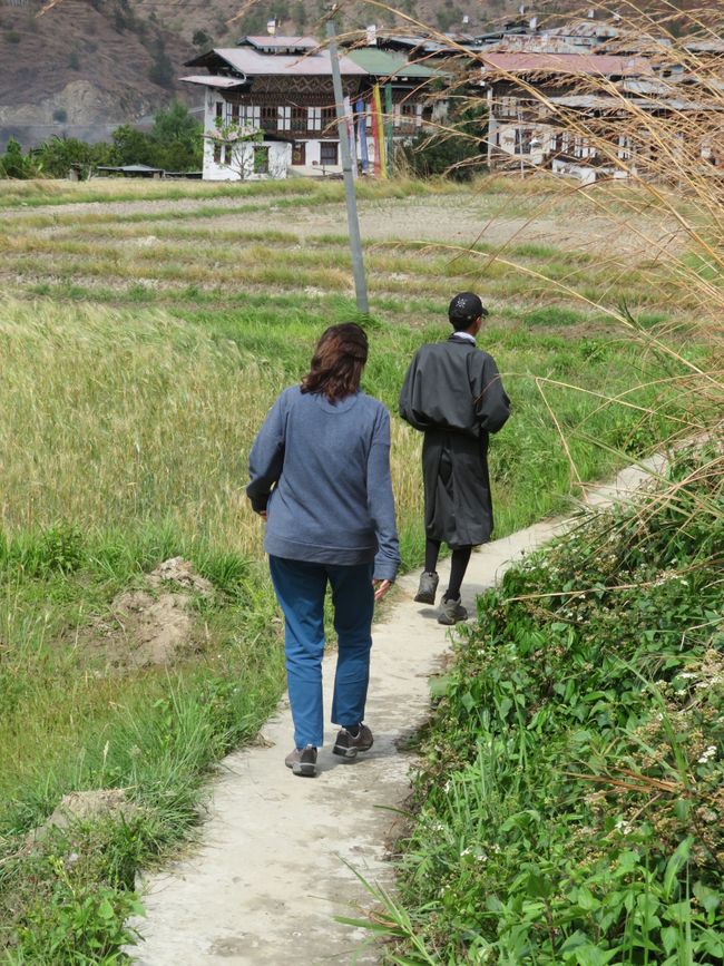 Prayer wheel