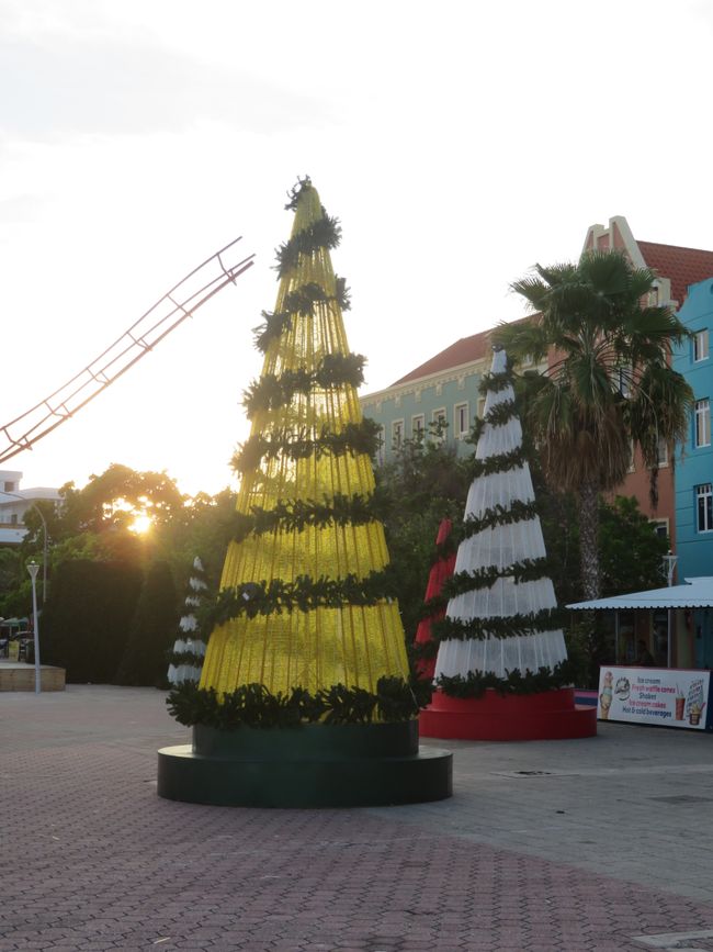 Sapins de Noël