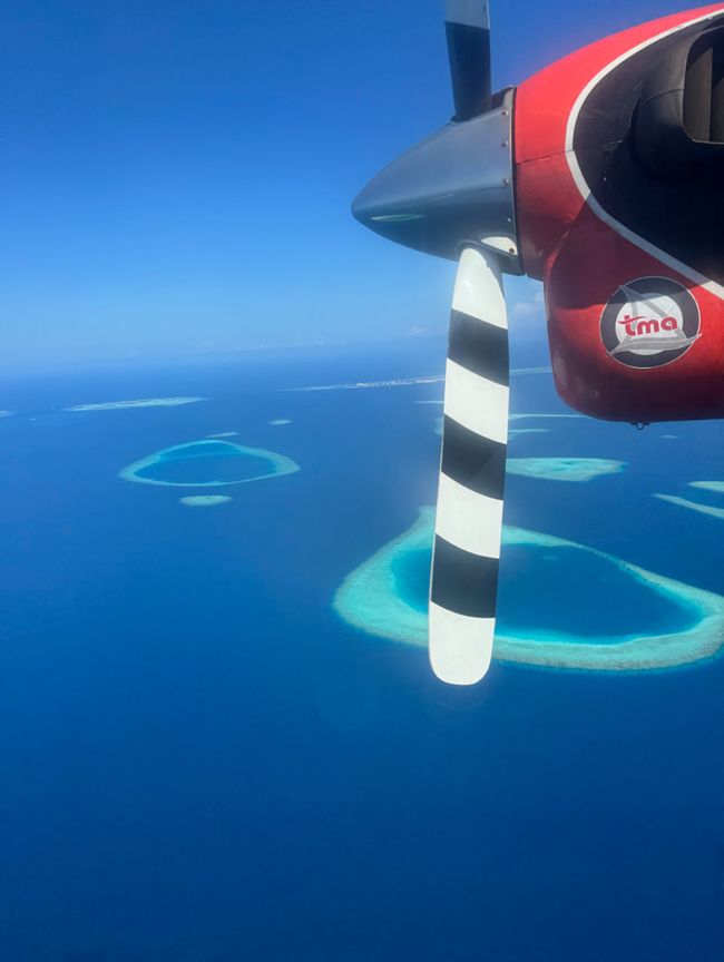 10 Días en Thundufushi - Un Viaje a Través de Aguas Azules, Jardines de Coral y Momentos de Quietud
