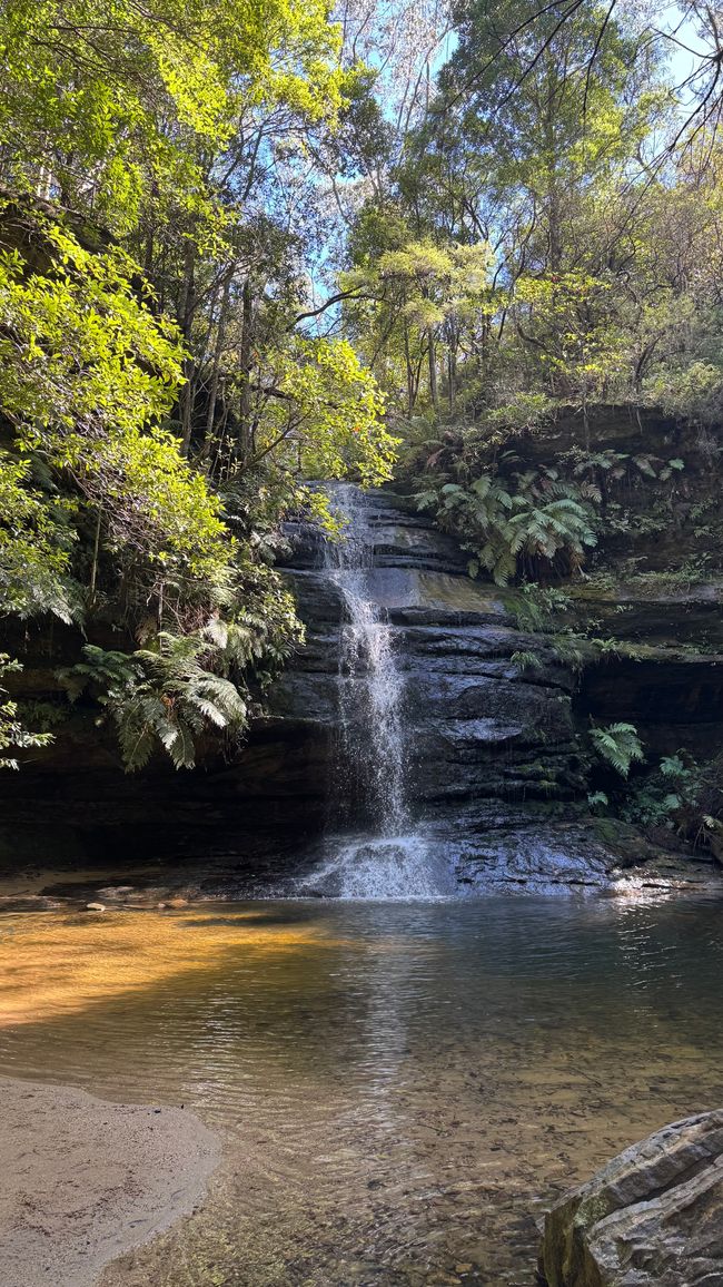 Blue Mountains