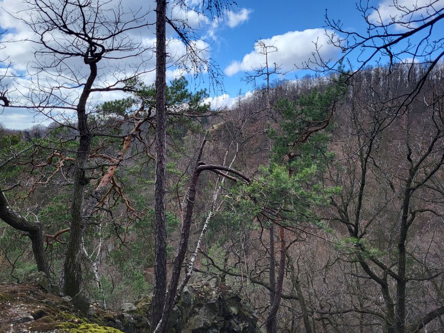 Wanderung zum Palmenhaus