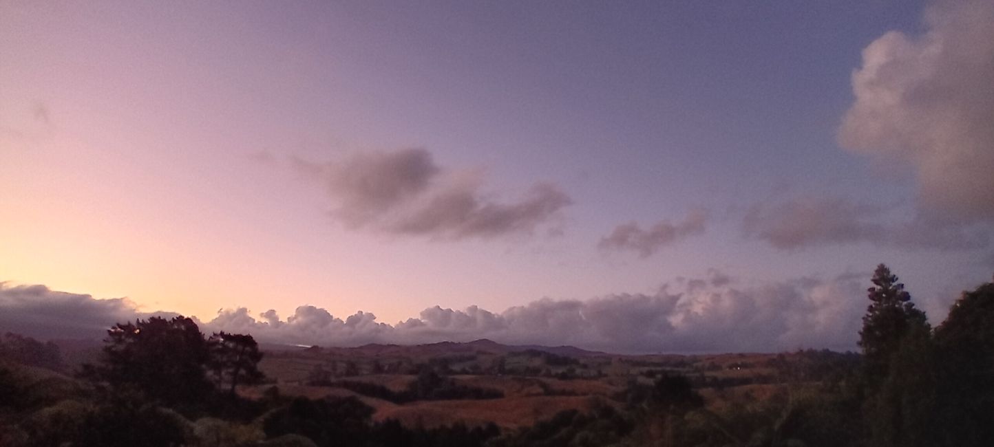 Tauranga