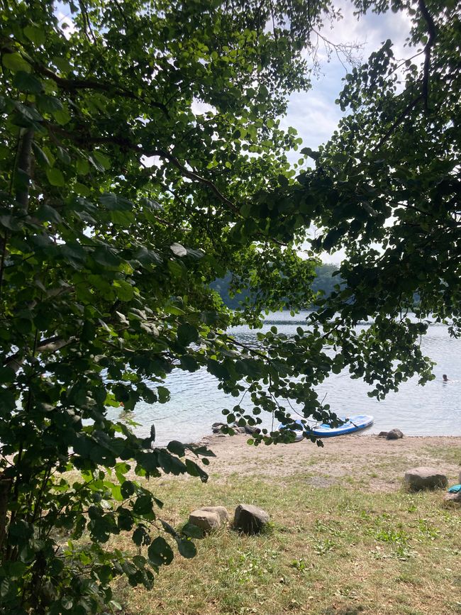 Landregen und Fallada begleiten mich durch die Feldberger Seenlandschaft
