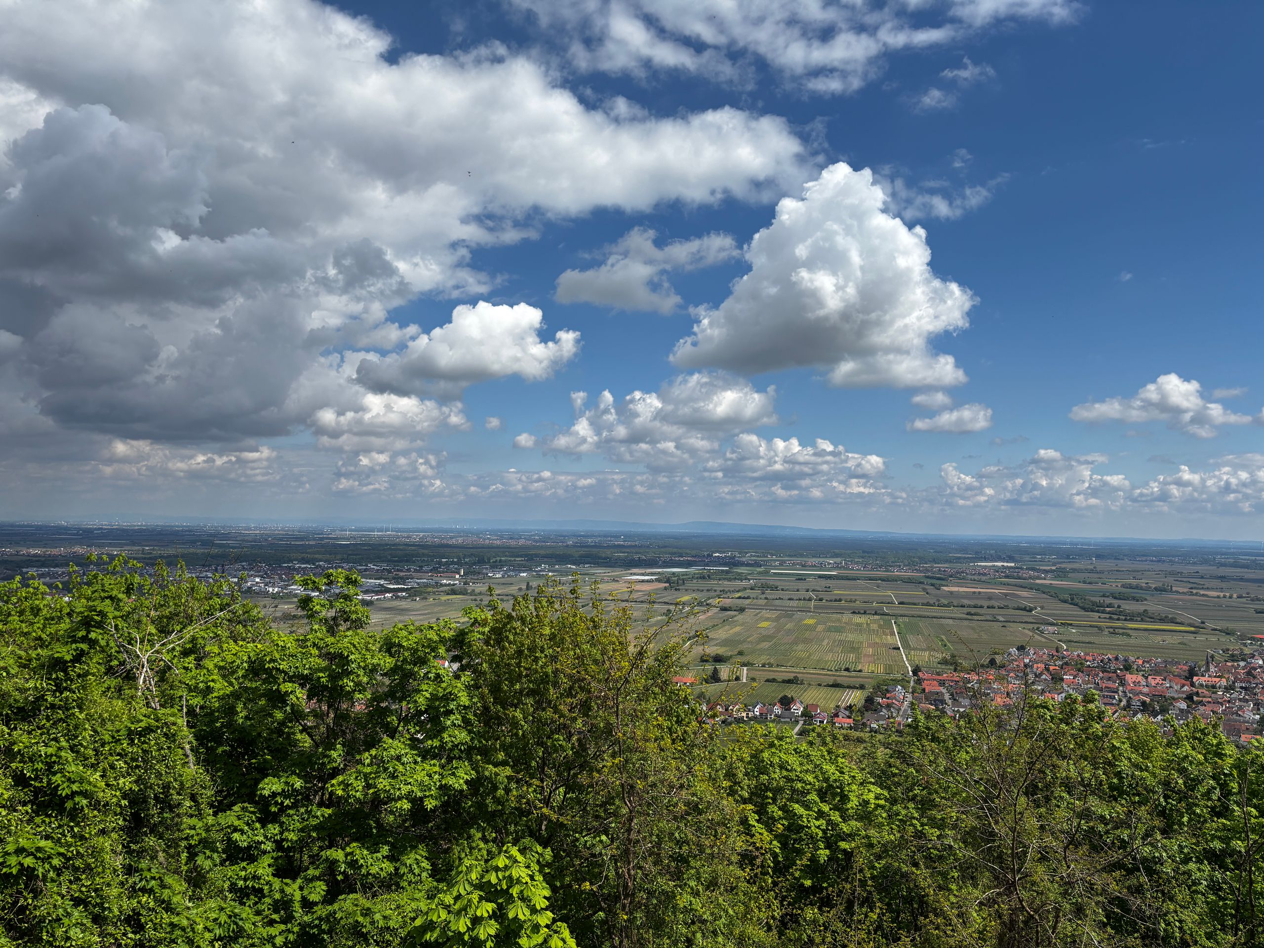 Rhénanie-Palatinat