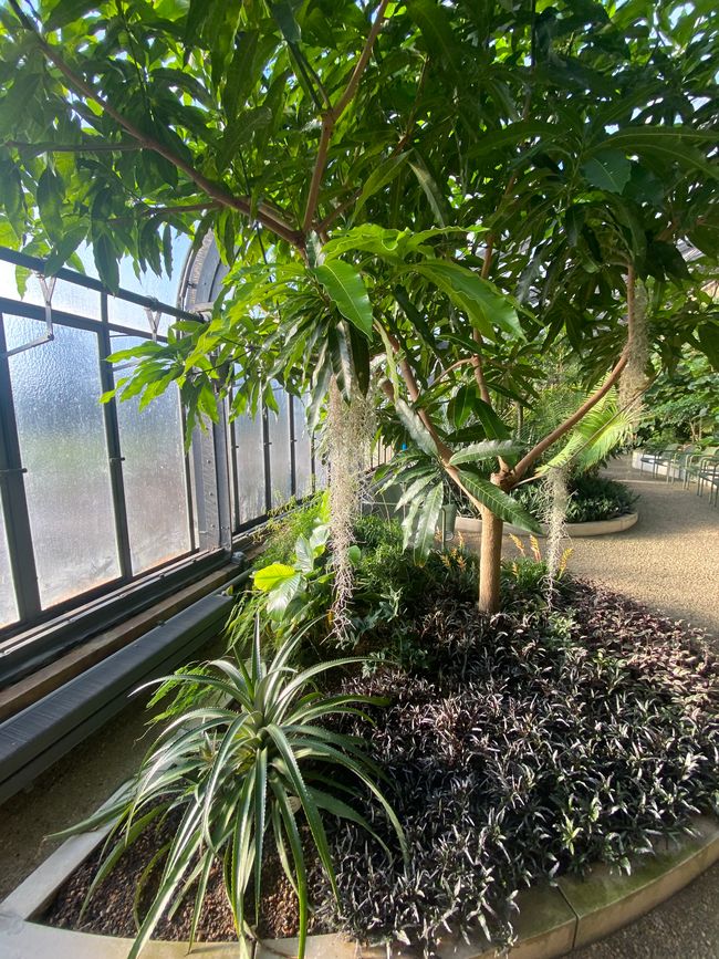 Es lohnt sich, diesen geringen Eintritt zu zahlen,