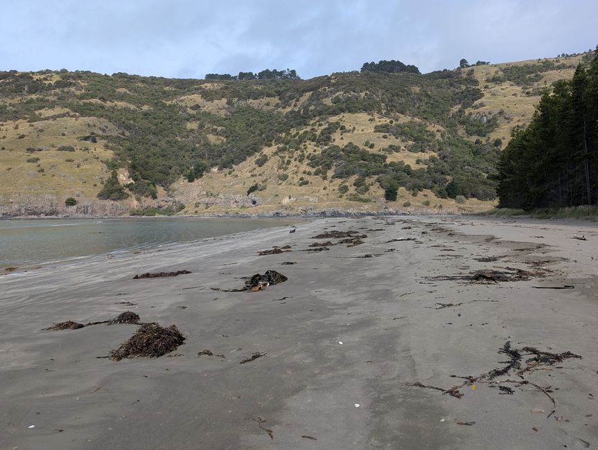 Ostteil Banks Peninsula