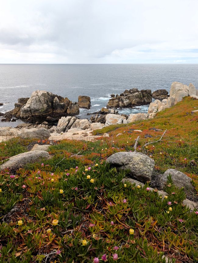 Reserva Nacional Point Lobos