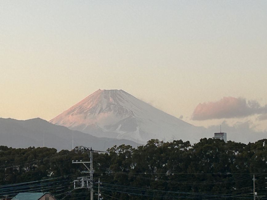 Fujikawaguchiko - Day 4-5