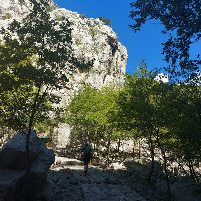 在帕克莱尼察国家公园的徒步旅行