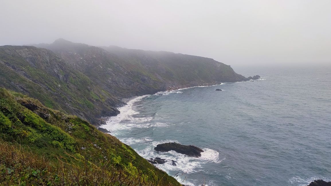 Gribbin Head