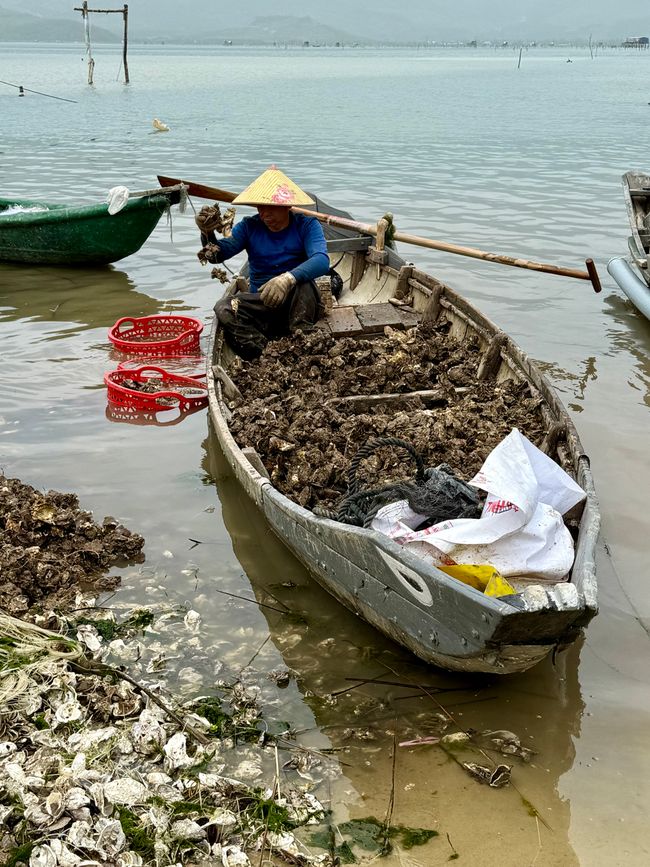Pêcheur d'huîtres