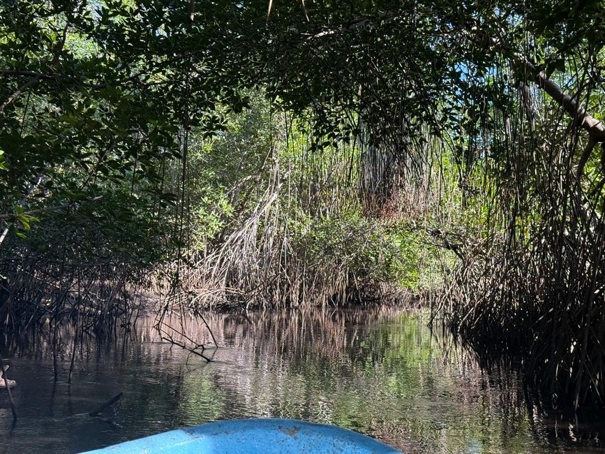 BLOG 20: Nicaragua - Costa del Pacífico y Bosque de Manglares