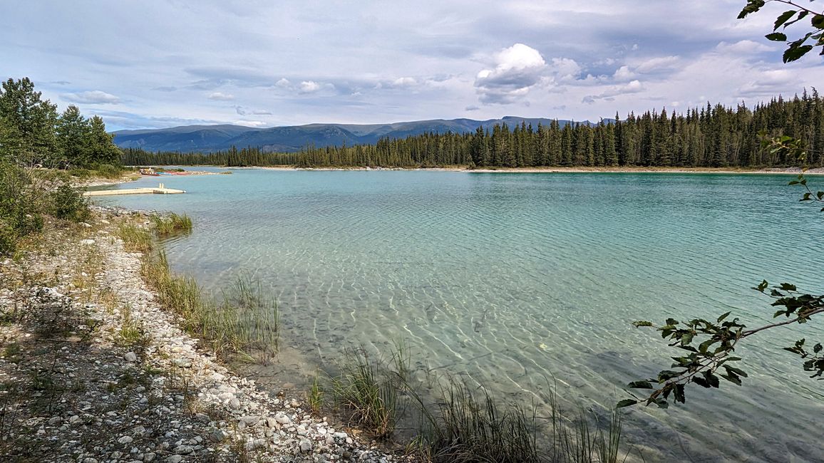 Beaver dam at Boya Lake