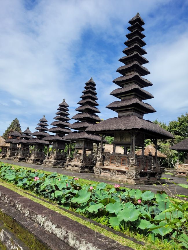 Tag 111/112 und 113 von 175: Kreuzfahrt rund um die Welt - Benoa/Bali und Seetag