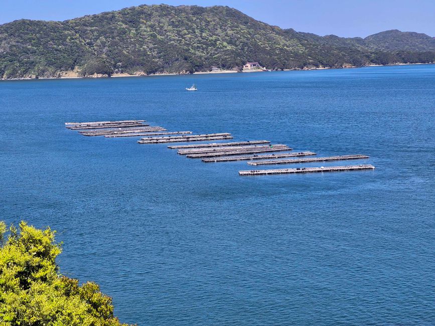 Blick aufs Meer von der Perlen-Insel Mikimoto