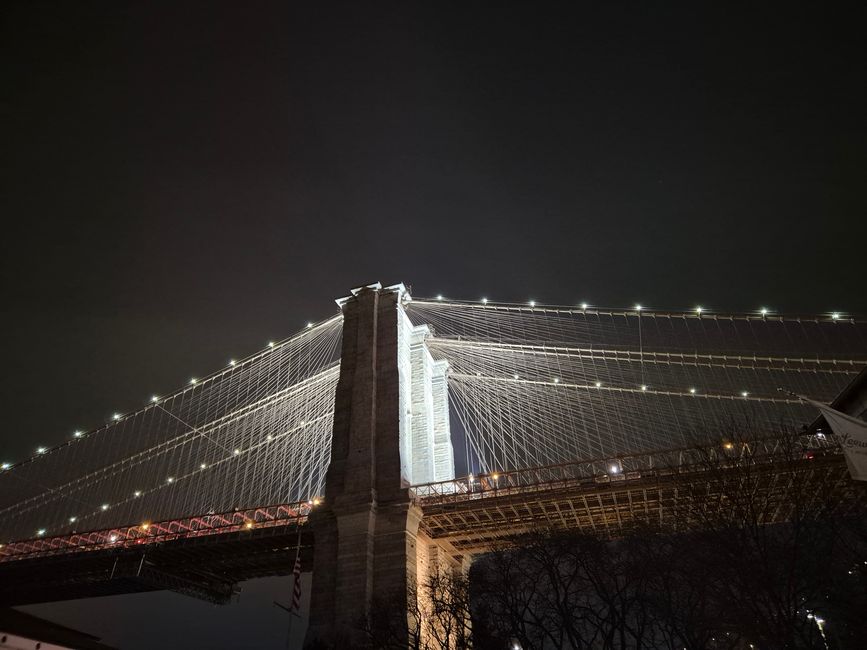 Attrazioni di Brooklyn e Dyker Heights