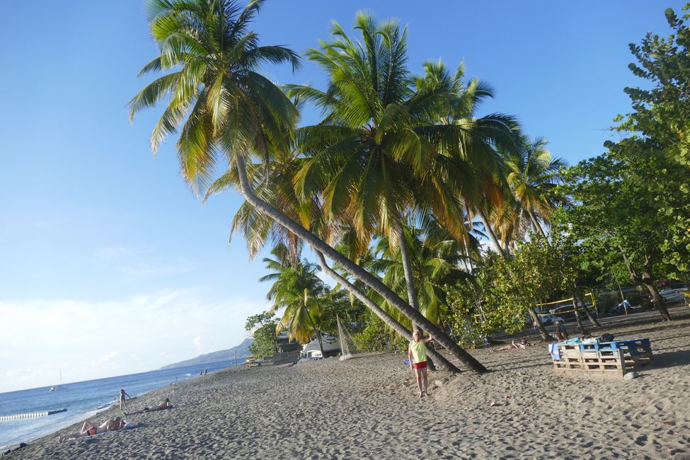Martinique, unser Dschungelhäuschen und einmal quer über die Insel