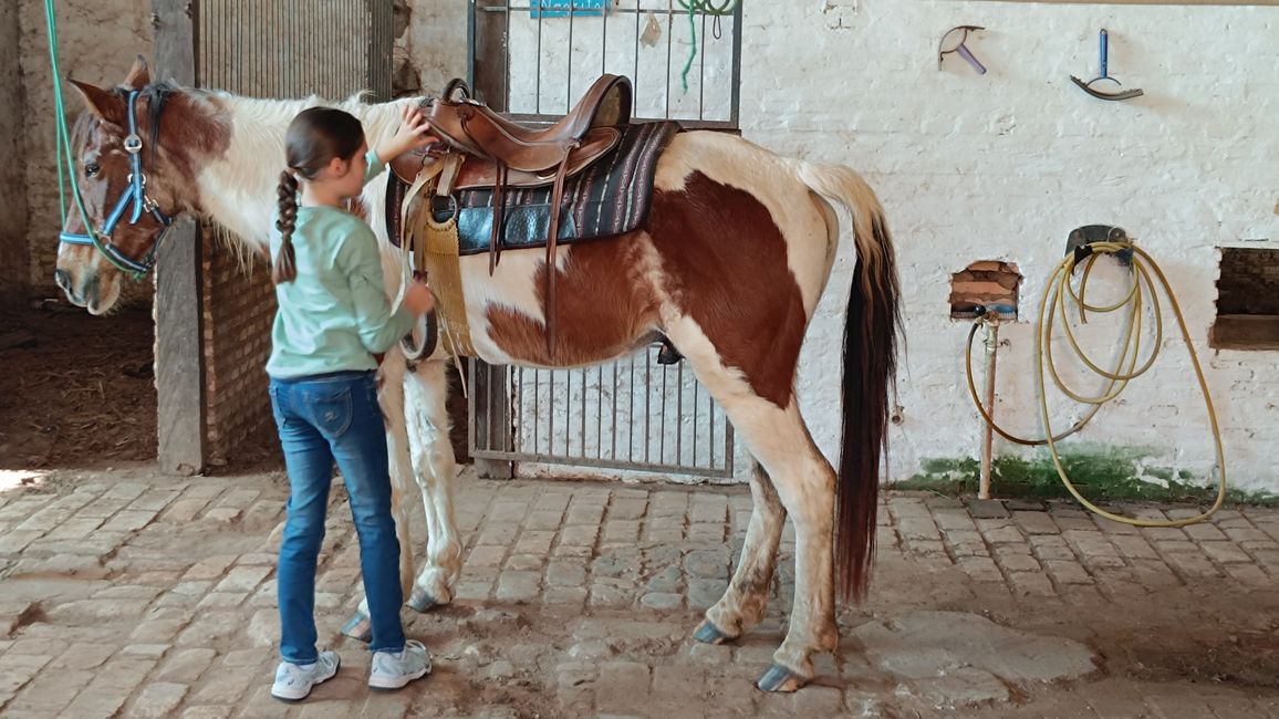 Paraguay_Caacupe_Aventura_Ranch (Juli 2025)