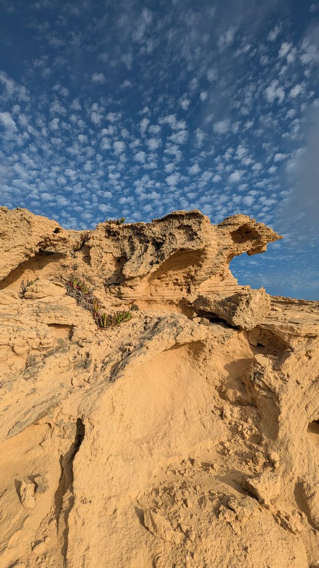 Tag 2: Inseltour auf Porto Santo