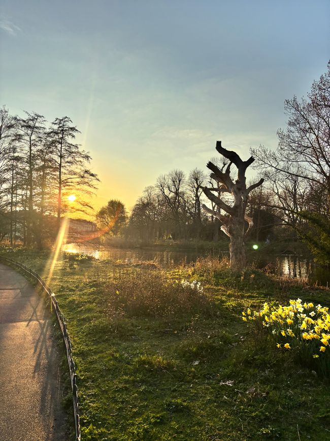 Sonnenuntergang im Regent’s Park