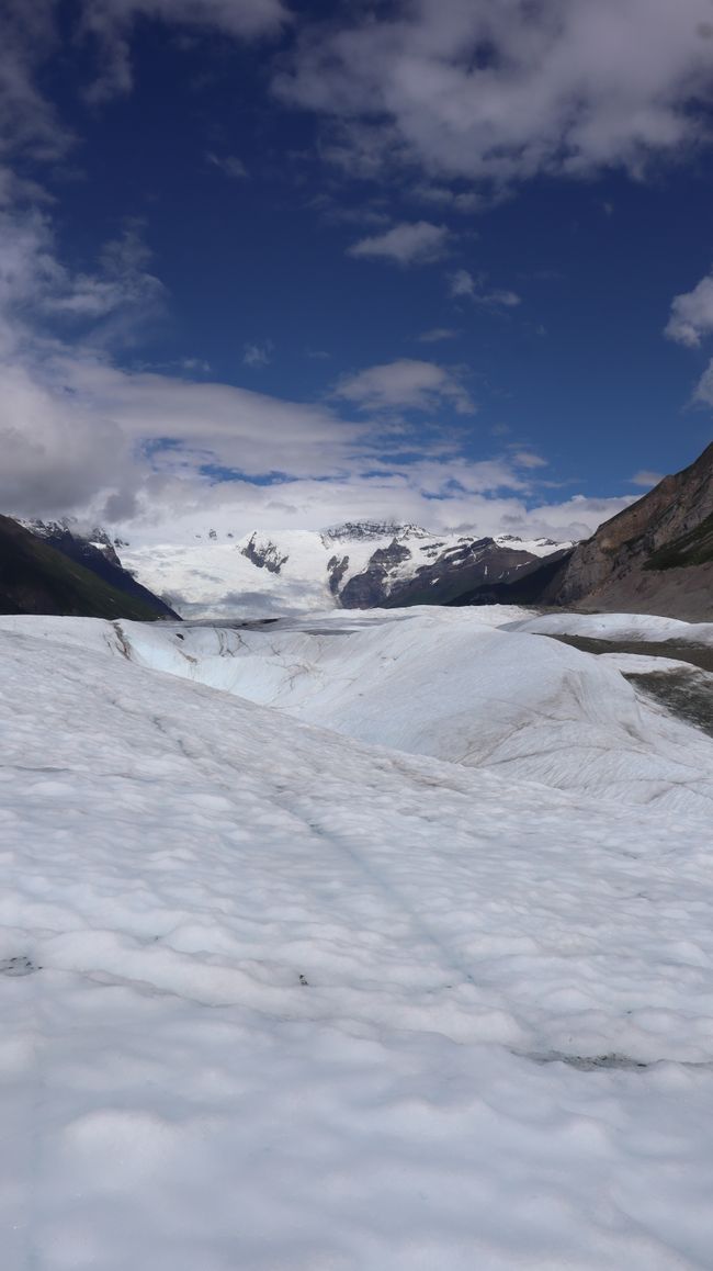 Glacier Root