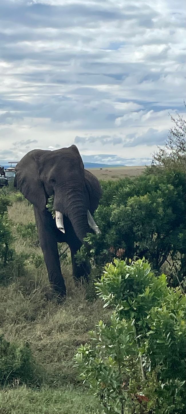 3 Days Safari in Masai Mara National Park