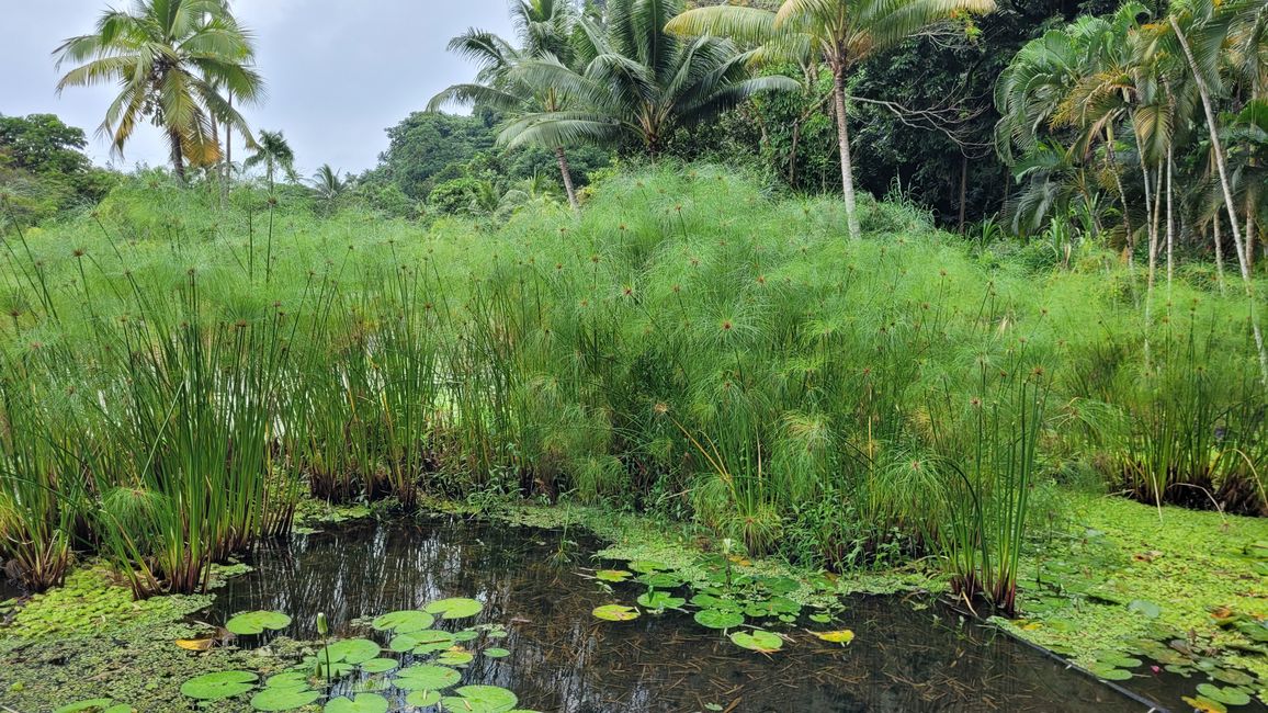 Tour around the edge of Tahiti-Nui