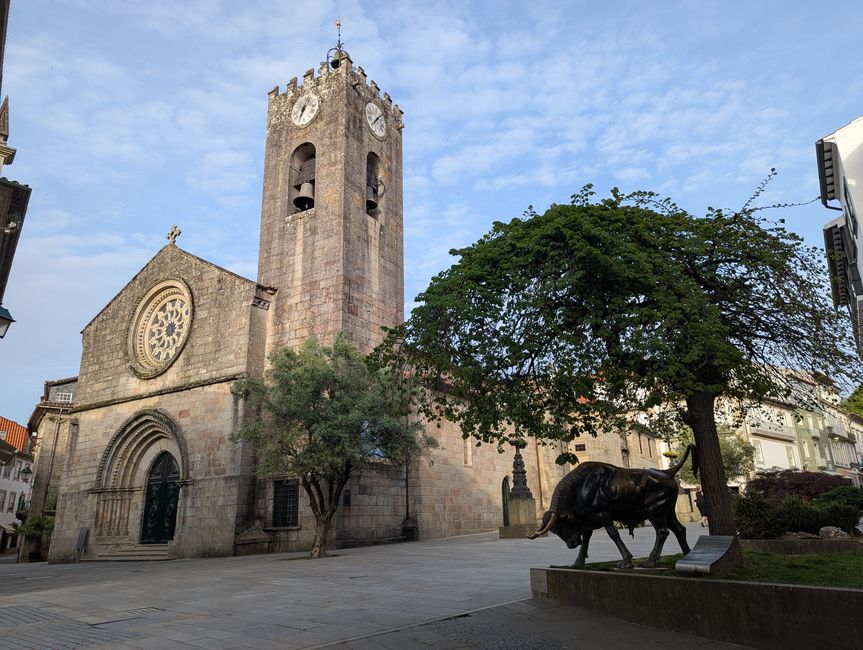 Biotopo dei pellegrini in Portogallo (Camino Portugues 4)