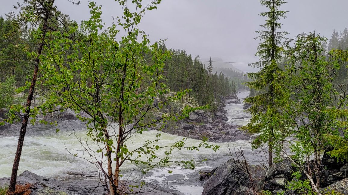 Oslo Gjøvik 9-16 de julio de 2024/10 de julio